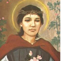 Rose Of Lima